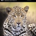 nitelikli8 adlı kullanıcı